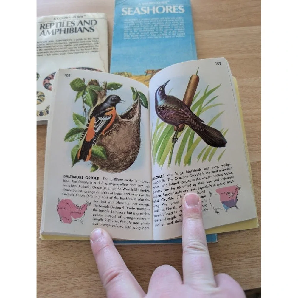 4 Lot Vintage A Golden Guide Book Lot Birds‎ Weather Reptiles Seashores